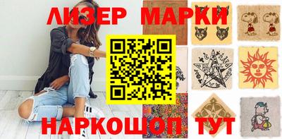СК Бердск
