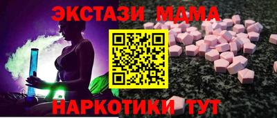 СК Бердск