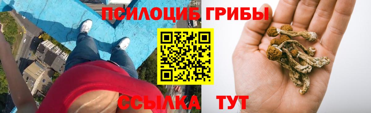 Галлюциногенные грибы Cubensis Будённовск